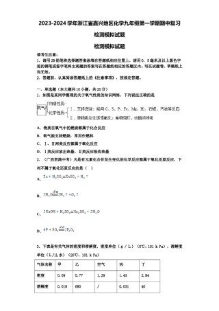 2023-2024学年浙江省嘉兴地区化学九年级第一学期期中复习检测模拟试题含解析.doc