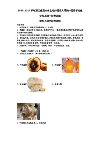 2023-2024学年浙江省嘉兴市上海外国语大秀洲外国语学校化学九上期中联考试题含解析.doc