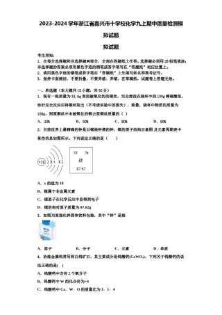 2023-2024学年浙江省嘉兴市十学校化学九上期中质量检测模拟试题含解析.doc