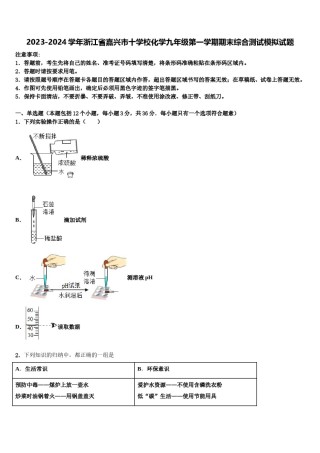 2023-2024学年浙江省嘉兴市十学校化学九年级第一学期期末综合测试模拟试题含解析.doc