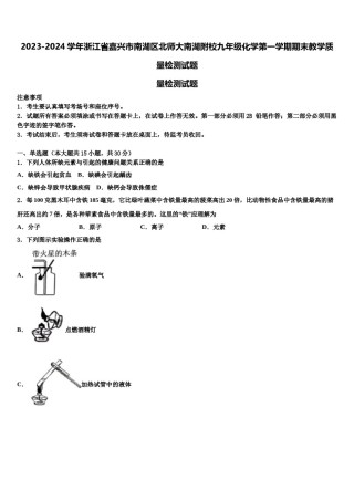 2023-2024学年浙江省嘉兴市南湖区北师大南湖附校九年级化学第一学期期末教学质量检测试题含解析.doc