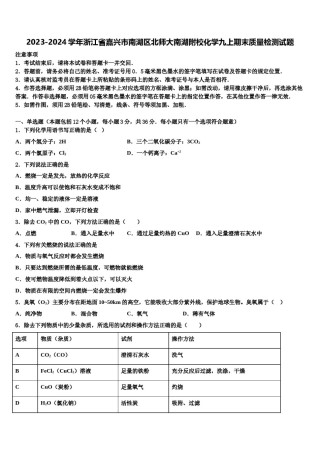 2023-2024学年浙江省嘉兴市南湖区北师大南湖附校化学九上期末质量检测试题含解析.doc