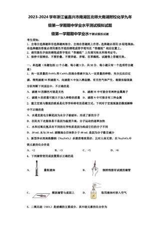 2023-2024学年浙江省嘉兴市南湖区北师大南湖附校化学九年级第一学期期中学业水平测试模拟试题含解析.doc