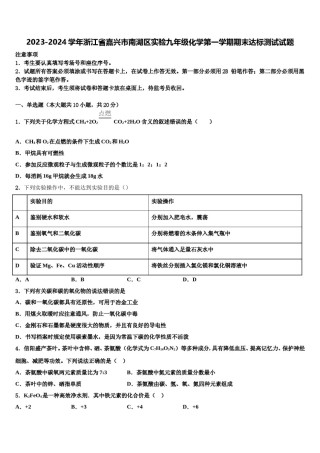 2023-2024学年浙江省嘉兴市南湖区实验九年级化学第一学期期末达标测试试题含解析.doc