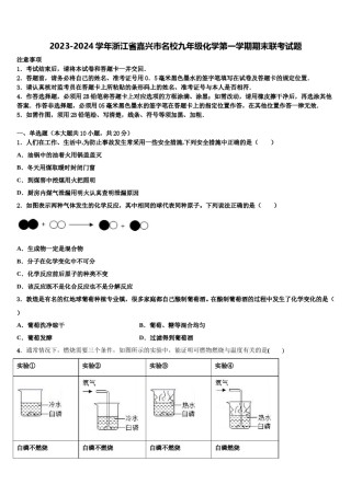 2023-2024学年浙江省嘉兴市名校九年级化学第一学期期末联考试题含解析.doc