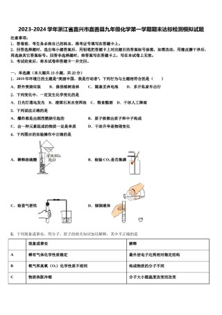 2023-2024学年浙江省嘉兴市嘉善县九年级化学第一学期期末达标检测模拟试题含解析.doc