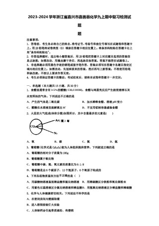 2023-2024学年浙江省嘉兴市嘉善县化学九上期中复习检测试题含解析.doc