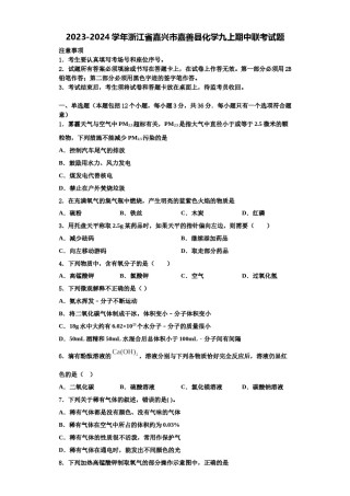 2023-2024学年浙江省嘉兴市嘉善县化学九上期中联考试题含解析.doc