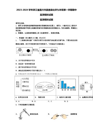 2023-2024学年浙江省嘉兴市嘉善县化学九年级第一学期期中监测模拟试题含解析.doc