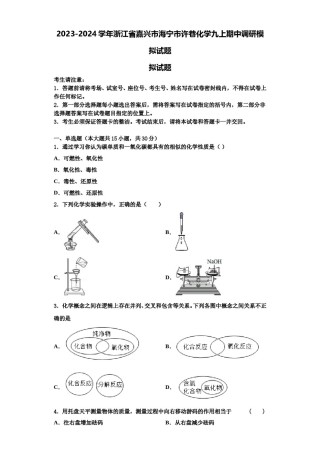 2023-2024学年浙江省嘉兴市海宁市许巷化学九上期中调研模拟试题含解析.doc