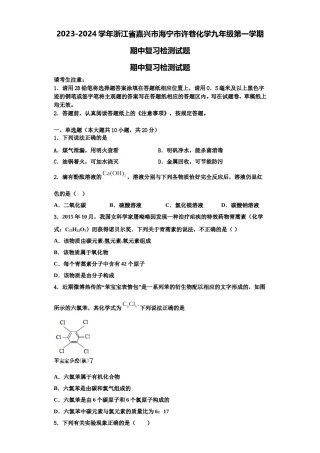 2023-2024学年浙江省嘉兴市海宁市许巷化学九年级第一学期期中复习检测试题含解析.doc