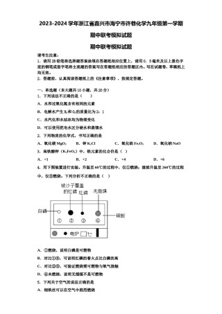 2023-2024学年浙江省嘉兴市海宁市许巷化学九年级第一学期期中联考模拟试题含解析.doc