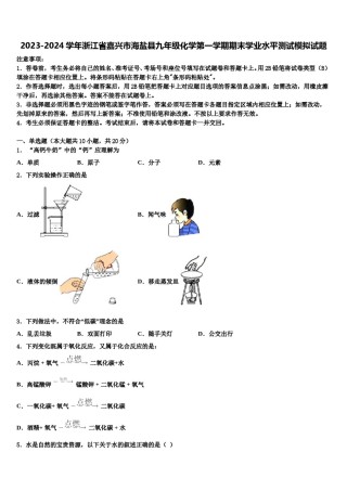 2023-2024学年浙江省嘉兴市海盐县九年级化学第一学期期末学业水平测试模拟试题含解析.doc