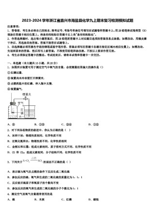 2023-2024学年浙江省嘉兴市海盐县化学九上期末复习检测模拟试题含解析.doc