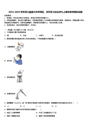 2023-2024学年浙江省嘉兴市秀洲区、经开区七校化学九上期末联考模拟试题含解析.doc