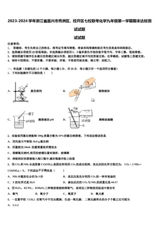 2023-2024学年浙江省嘉兴市秀洲区、经开区七校联考化学九年级第一学期期末达标测试试题含解析.doc