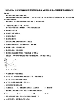 2023-2024学年浙江省嘉兴市秀洲区实验中学九年级化学第一学期期末联考模拟试题含解析.doc