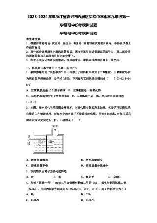 2023-2024学年浙江省嘉兴市秀洲区实验中学化学九年级第一学期期中统考模拟试题含解析.doc