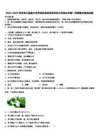 2023-2024学年浙江省嘉兴市秀洲区高照实验学校九年级化学第一学期期末预测试题含解析.doc