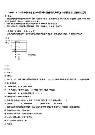2023-2024学年浙江省嘉兴市秀洲片区化学九年级第一学期期末达标测试试题含解析.doc