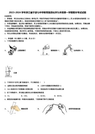 2023-2024学年浙江省宁波七中学教育集团化学九年级第一学期期末考试试题含解析.doc