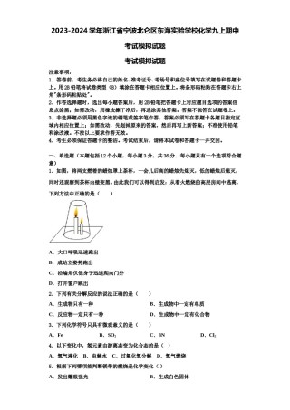 2023-2024学年浙江省宁波北仑区东海实验学校化学九上期中考试模拟试题含解析.doc
