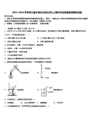 2023-2024学年浙江省宁波北仑区化学九上期末学业质量监测模拟试题含解析.doc