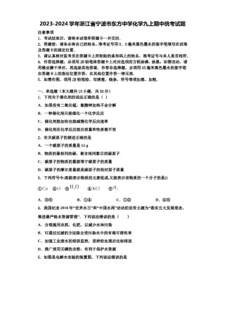 2023-2024学年浙江省宁波市东方中学化学九上期中统考试题含解析.doc