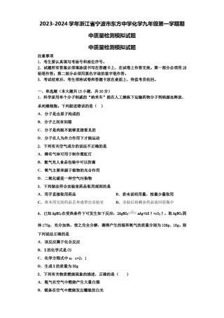 2023-2024学年浙江省宁波市东方中学化学九年级第一学期期中质量检测模拟试题含解析.doc