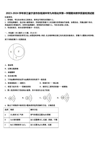 2023-2024学年浙江省宁波市东钱湖中学九年级化学第一学期期末教学质量检测试题含解析.doc