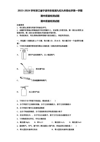 2023-2024学年浙江省宁波市东钱湖九校九年级化学第一学期期中质量检测试题含解析.doc