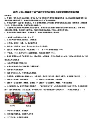 2023-2024学年浙江省宁波市余姚市化学九上期末质量检测模拟试题含解析.doc