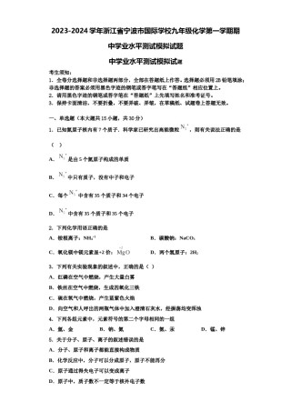 2023-2024学年浙江省宁波市国际学校九年级化学第一学期期中学业水平测试模拟试题含解析.doc