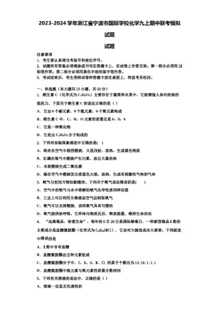 2023-2024学年浙江省宁波市国际学校化学九上期中联考模拟试题含解析.doc