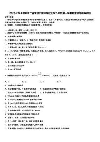 2023-2024学年浙江省宁波市国际学校化学九年级第一学期期末联考模拟试题含解析.doc