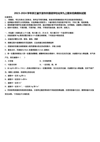 2023-2024学年浙江省宁波市外国语学校化学九上期末经典模拟试题含解析.doc
