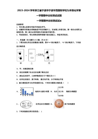 2023-2024学年浙江省宁波市宁波华茂国际学校九年级化学第一学期期中达标测试试题含解析.doc