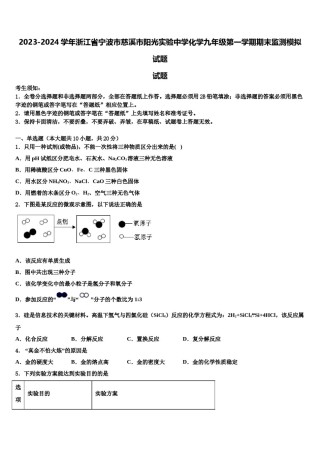 2023-2024学年浙江省宁波市慈溪市阳光实验中学化学九年级第一学期期末监测模拟试题含解析.doc