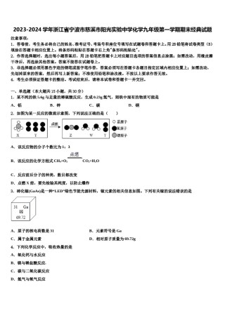 2023-2024学年浙江省宁波市慈溪市阳光实验中学化学九年级第一学期期末经典试题含解析.doc