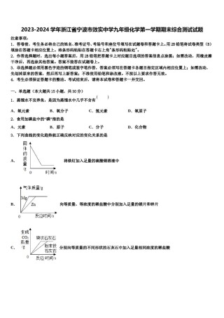 2023-2024学年浙江省宁波市效实中学九年级化学第一学期期末综合测试试题含解析.doc