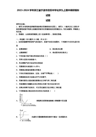 2023-2024学年浙江省宁波市效实中学化学九上期中调研模拟试题含解析.doc