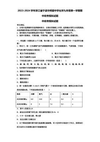 2023-2024学年浙江省宁波市明望中学化学九年级第一学期期中统考模拟试题含解析.doc