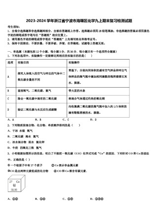 2023-2024学年浙江省宁波市海曙区化学九上期末复习检测试题含解析.doc