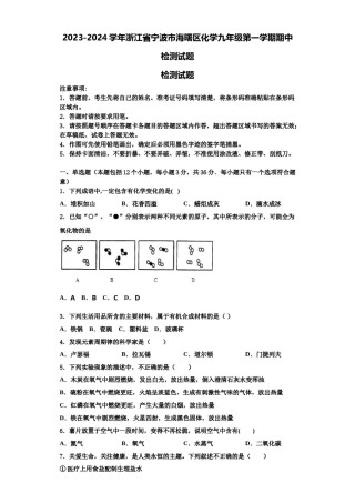 2023-2024学年浙江省宁波市海曙区化学九年级第一学期期中检测试题含解析.doc