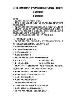 2023-2024学年浙江省宁波市海曙区化学九年级第一学期期中质量检测试题含解析.doc