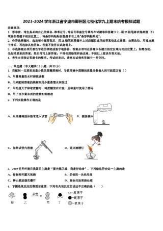 2023-2024学年浙江省宁波市鄞州区七校化学九上期末统考模拟试题含解析.doc