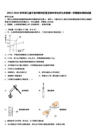 2023-2024学年浙江省宁波市鄞州区董玉娣中学化学九年级第一学期期末调研试题含解析.doc