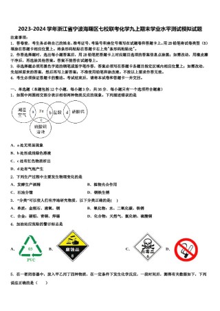 2023-2024学年浙江省宁波海曙区七校联考化学九上期末学业水平测试模拟试题含解析.doc