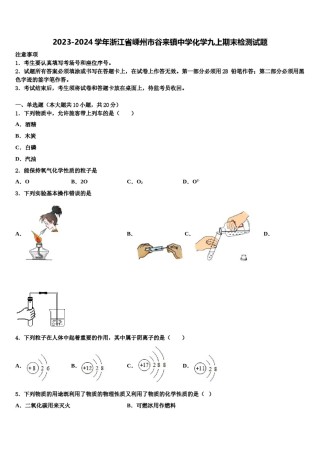 2023-2024学年浙江省嵊州市谷来镇中学化学九上期末检测试题含解析.doc