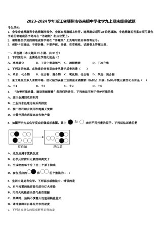 2023-2024学年浙江省嵊州市谷来镇中学化学九上期末经典试题含解析.doc